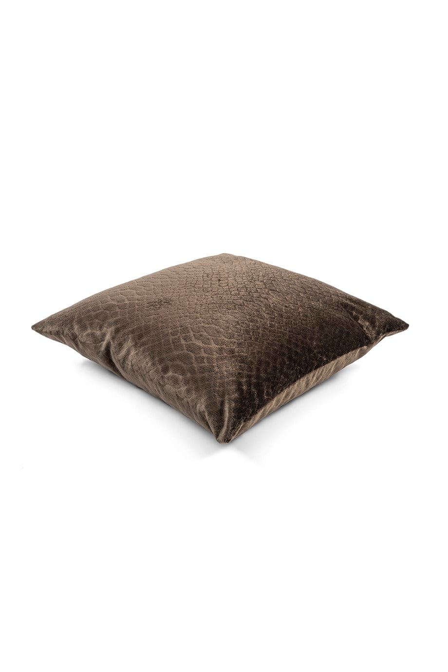 Warm Winter Krokodil Baskılı Kadife 45x45 cm Kare Kırlent Kılıfı