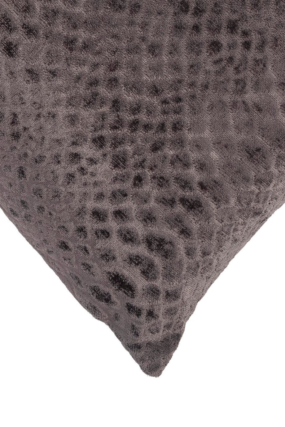 Warm Winter Krokodil Baskılı Kadife 45x45 cm Kare Kırlent Kılıfı