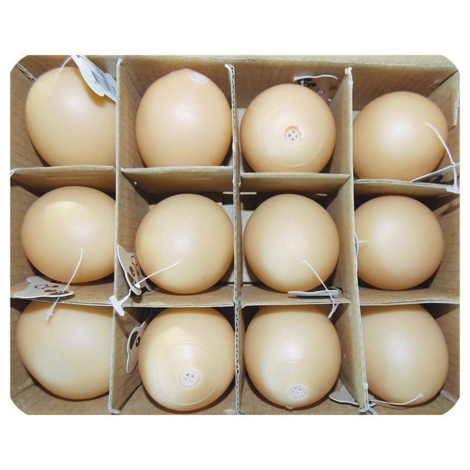 Eastland Plastik Yumurta Oyn. 12Li 5Cm
