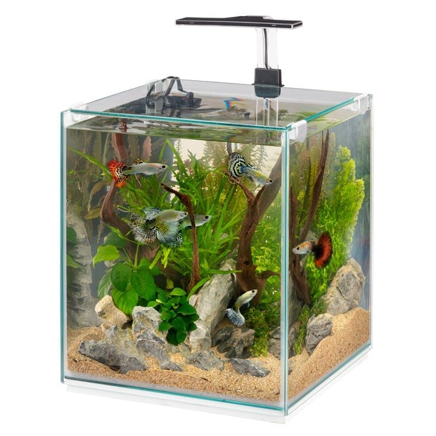 Ferplast Tonga 30 Ledli Akvaryum 30x30xh46 cm - 30 L