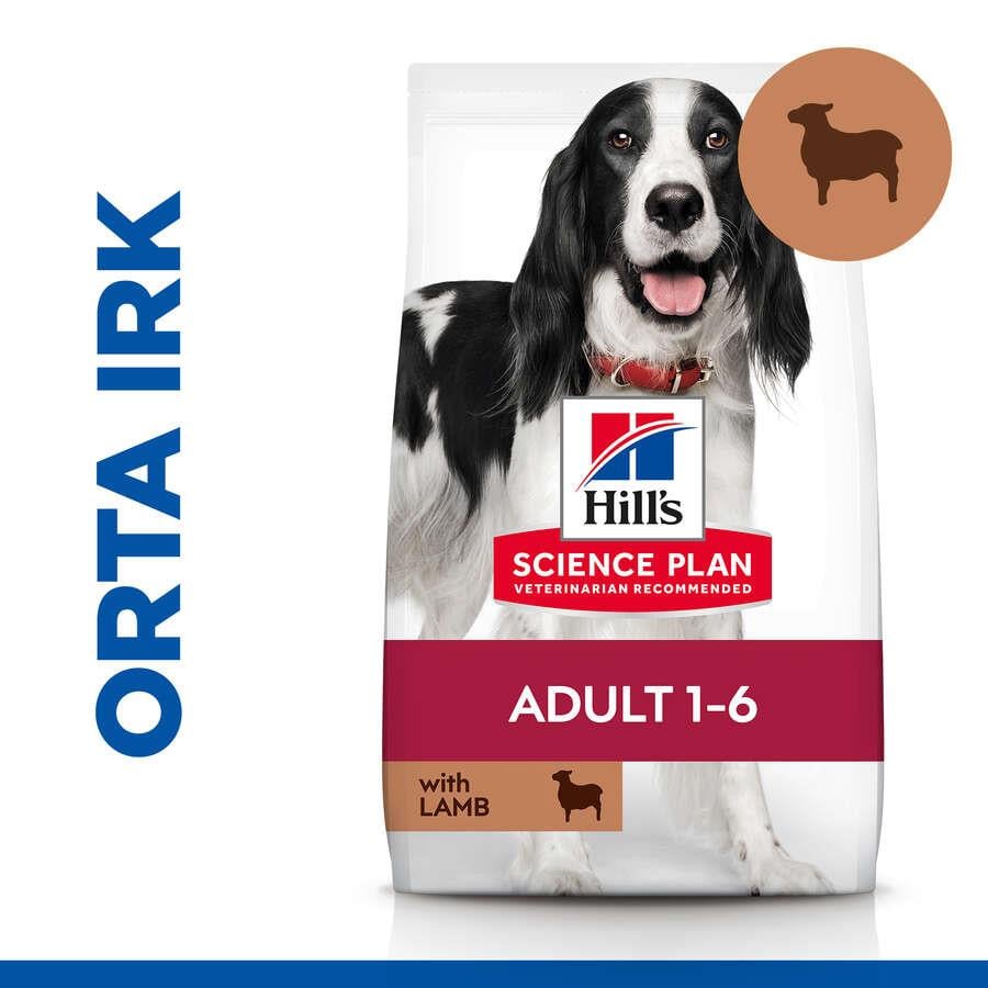 Hills Lamb Kuzu Etli Yetişkin Köpek Maması 2,5 Kg
