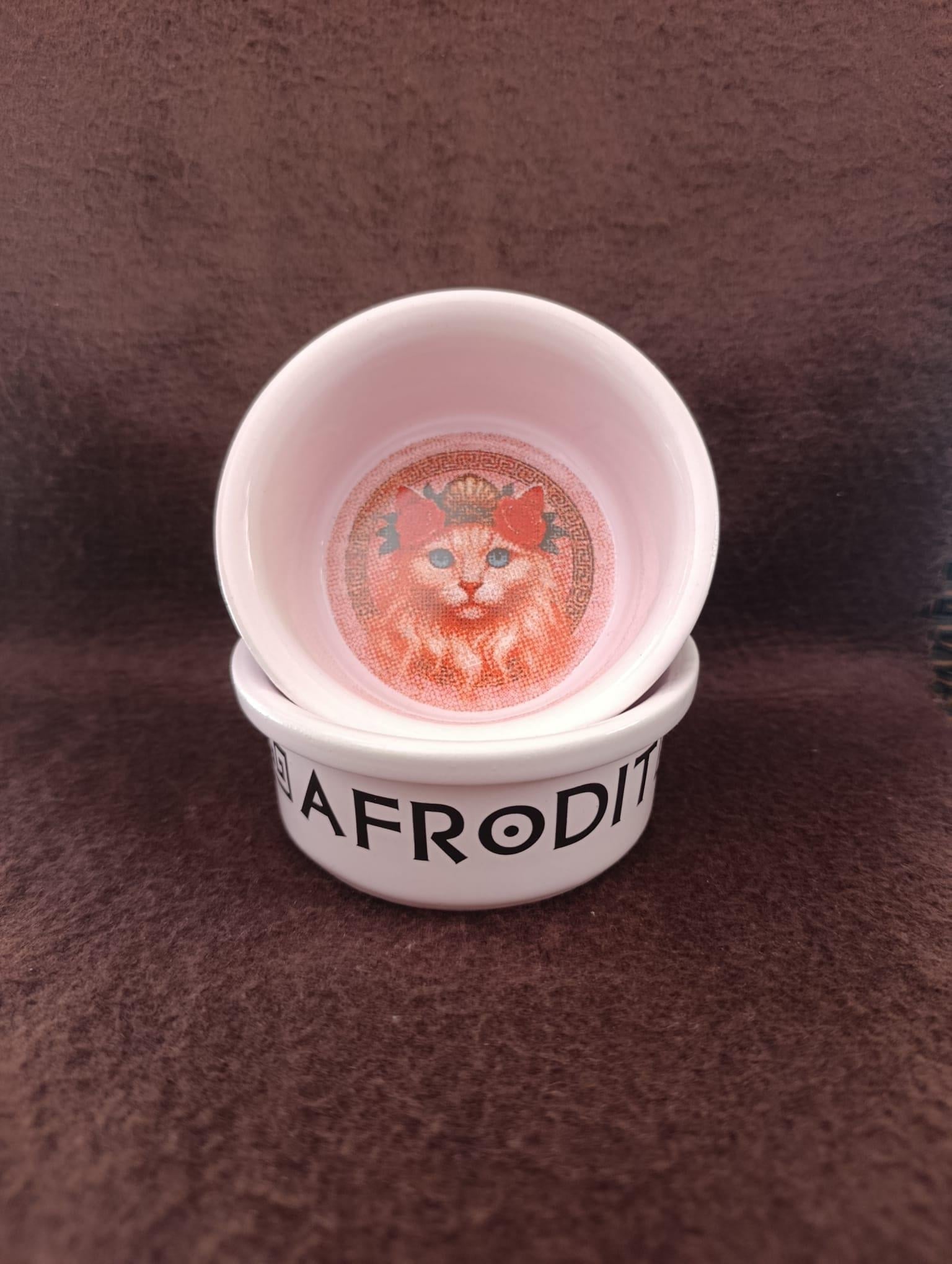 Raccoon Olimpos Serisi Afrodit Seramik Mama Ve Su Kabı 300ml