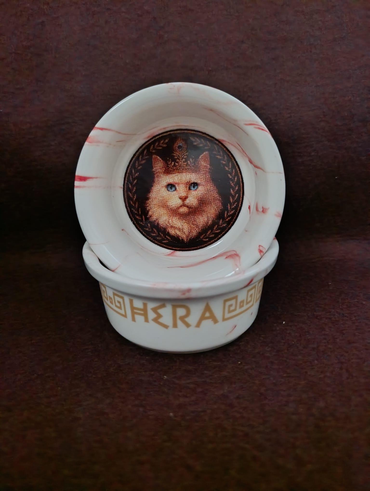 Raccoon Olimpos Serisi Hera Seramik Mama Ve Su Kabı 300ml