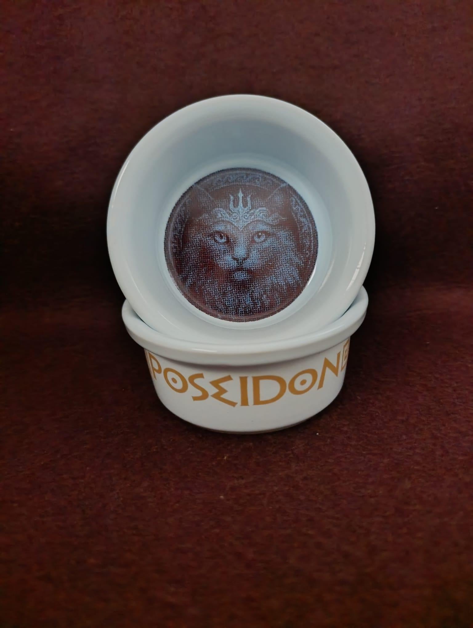 Raccoon Olimpos Serisi Poseidon Seramik Mama Ve Su Kabı 300ml