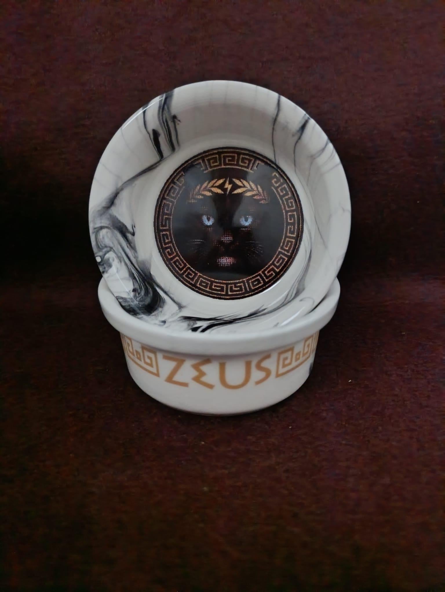 Raccoon Olimpos Serisi Zeus Seramik Mama Ve Su Kabı 300ml