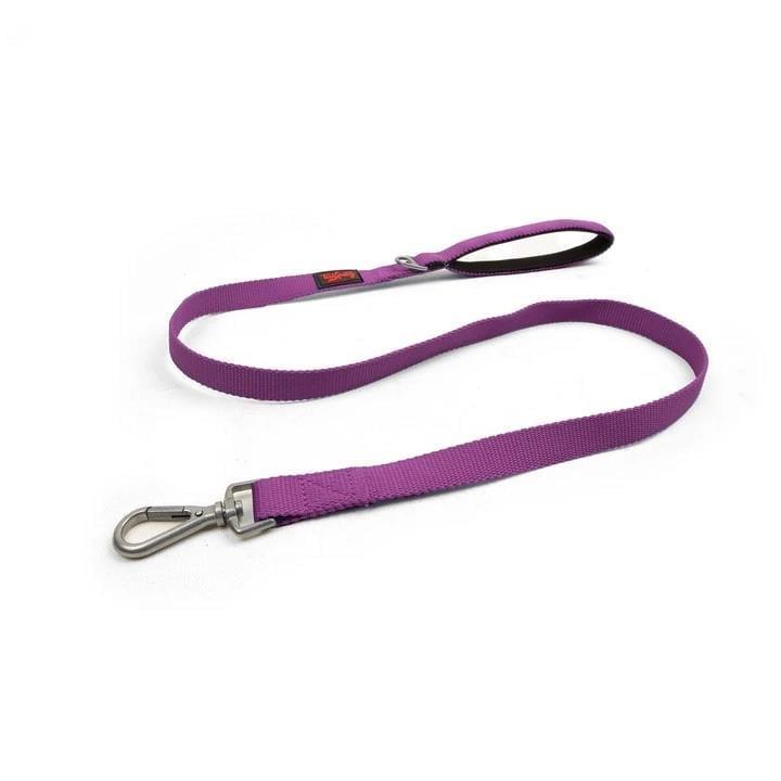 Tailpetz Match Leash Köpek Gezdirme Kayışı Mor Small