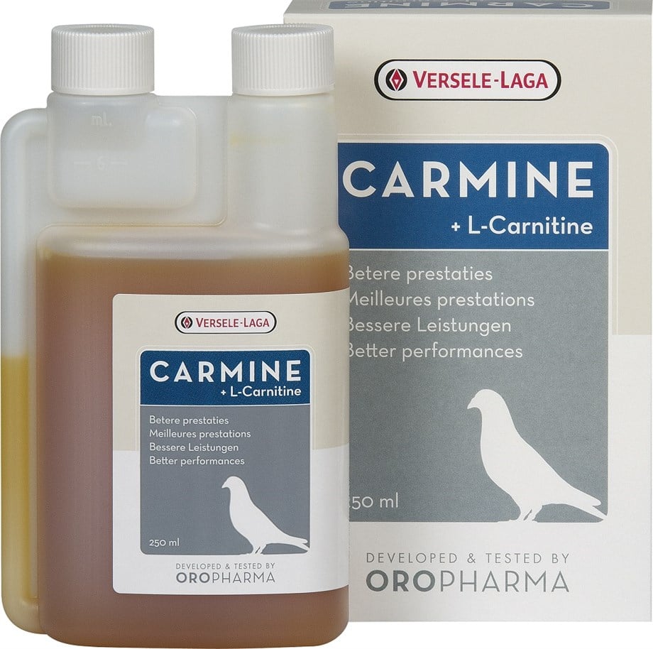 V.LAGA OR.CARMİNE GÜVERCİN(SIVI L KARNİTİN)250 ML