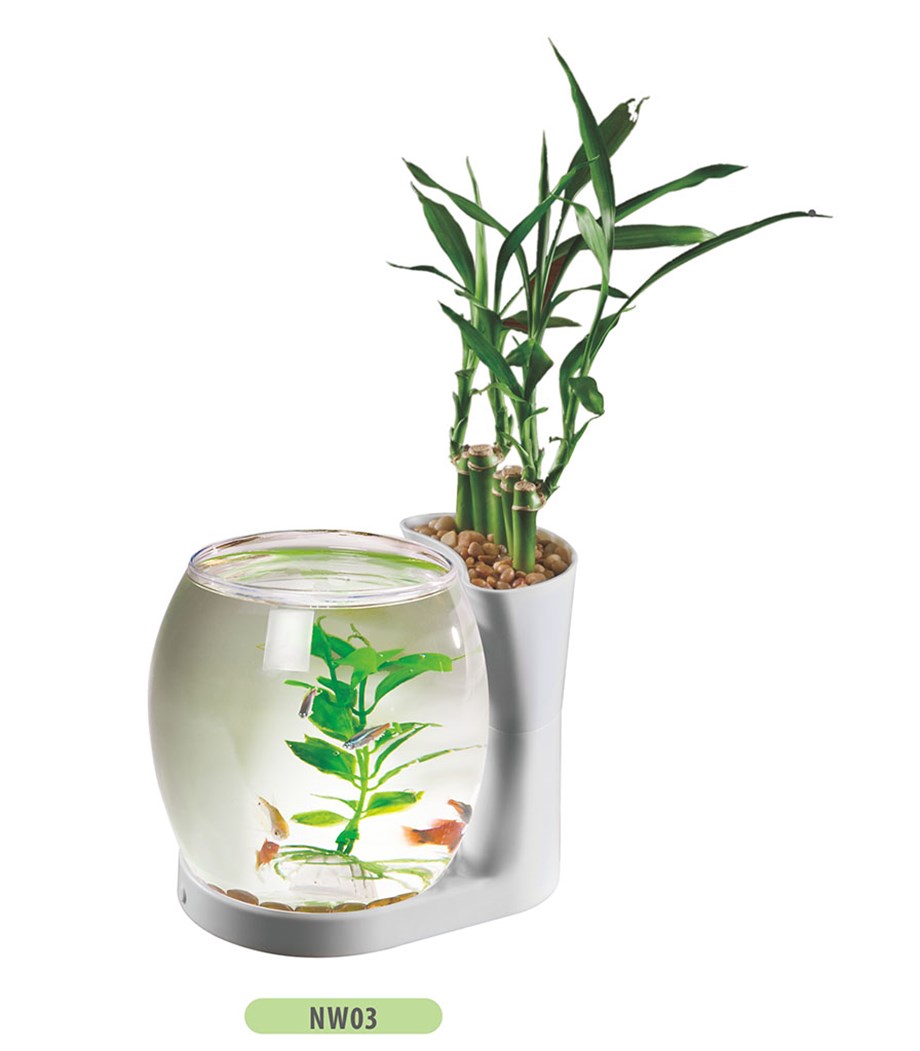 Aquasyncro Akvaryum 3 Lt Işıklı