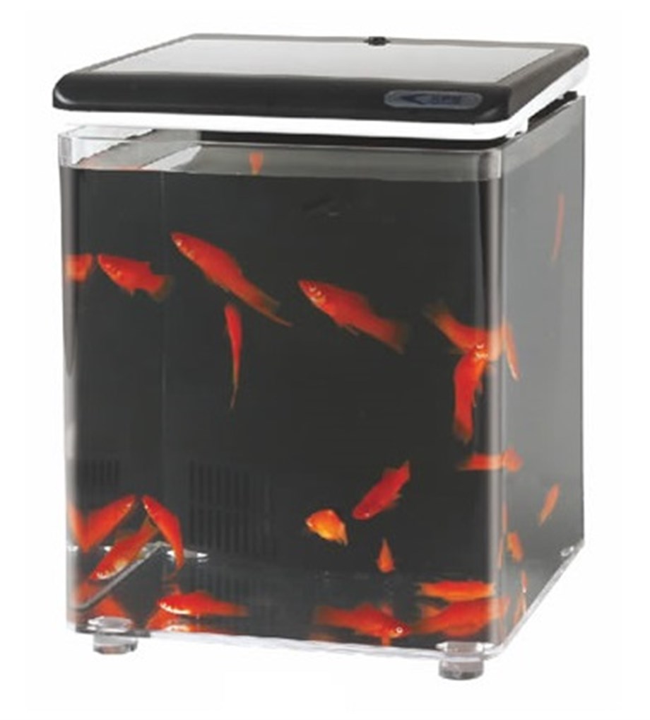 Aquasyncro Fish Home Akvaryum Siyah 20X20X26 Cm