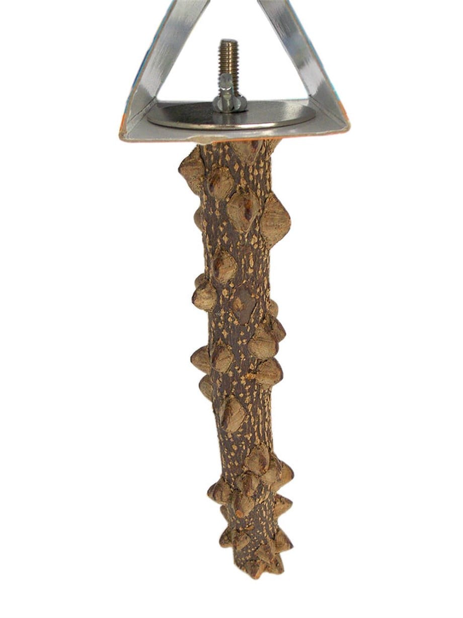 Eastland Ahşap Kuş Tüneğı 2,5X20 Cm