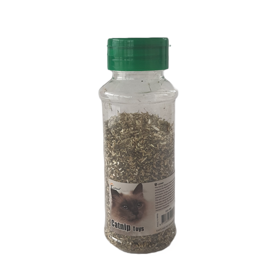 Eastland Catnip Tozu