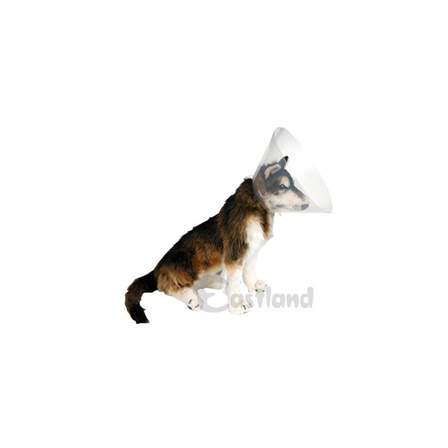 Eastland Yakalık(elizabet) 30 Cm