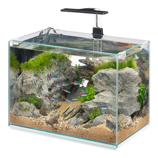 Ferplast Tonga 40 Ledli Akvaryum 40x25x h41 cm - 34 L