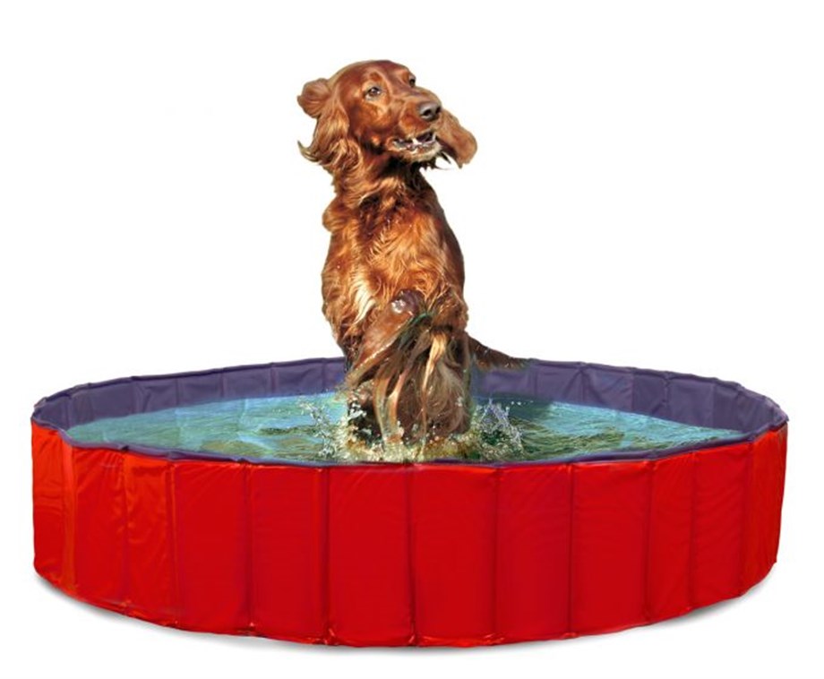 KARLIE KÖPEK HAVUZU 120CM ÇAP MAVİ KIRMIZI