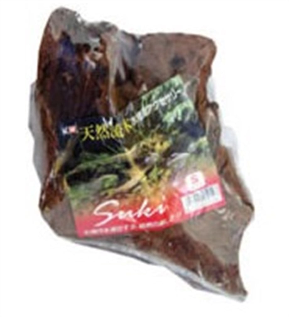 Mango Kökü (ss) Şiling 19-23  Cm