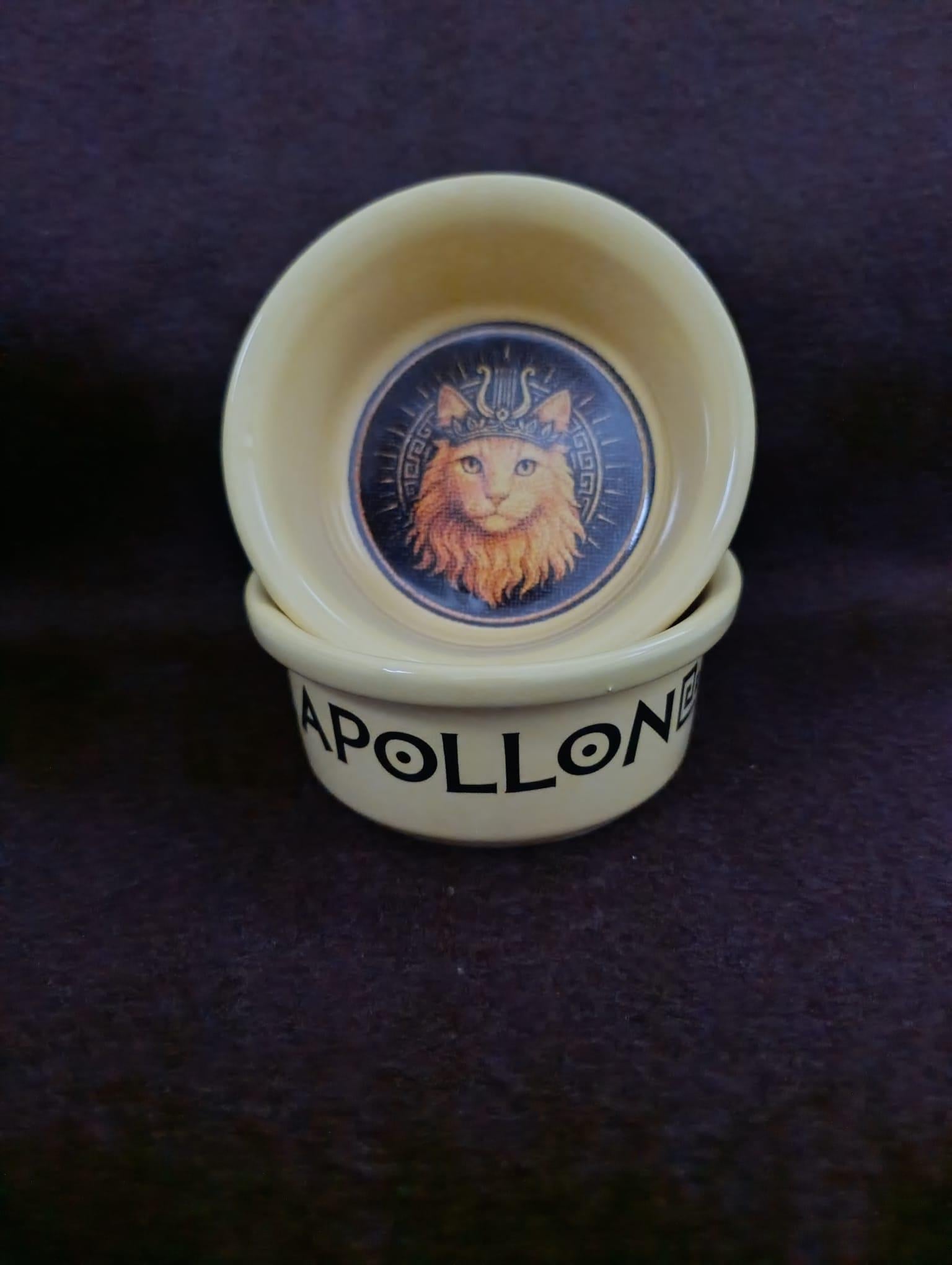 Raccoon Olimpos Serisi Apollon Seramik Mama Ve Su Kabı 300ml