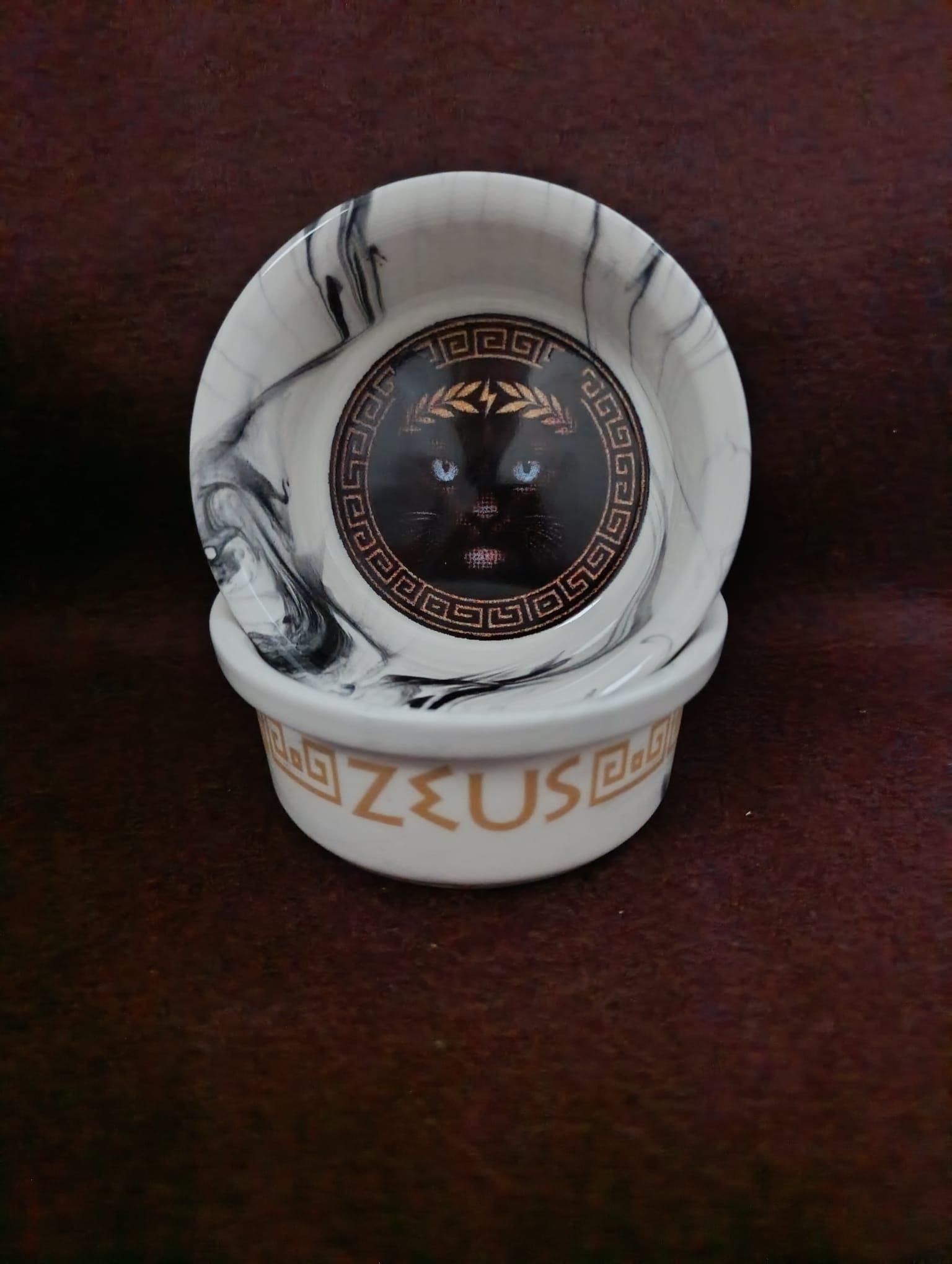 Raccoon Olimpos Serisi Zeus Seramik Mama Ve Su Kabı 300ml