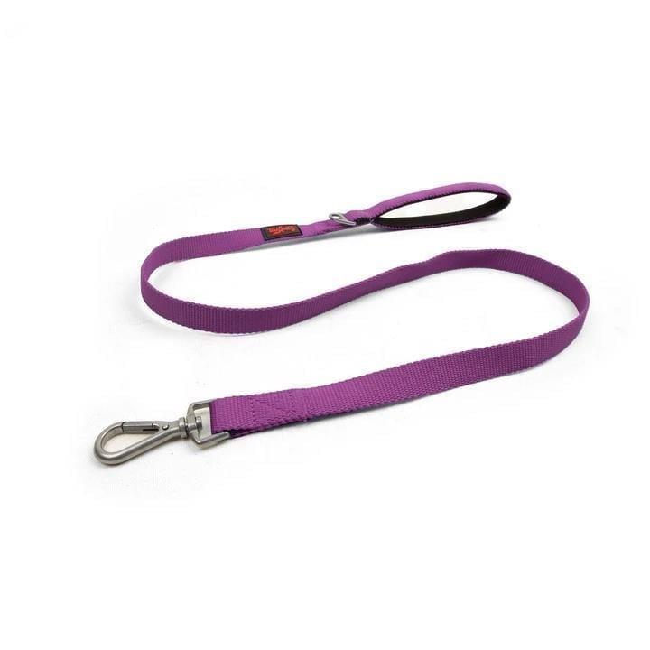 Tailpetz Match Leash Köpek Gezdirme Kayışı Mor Small