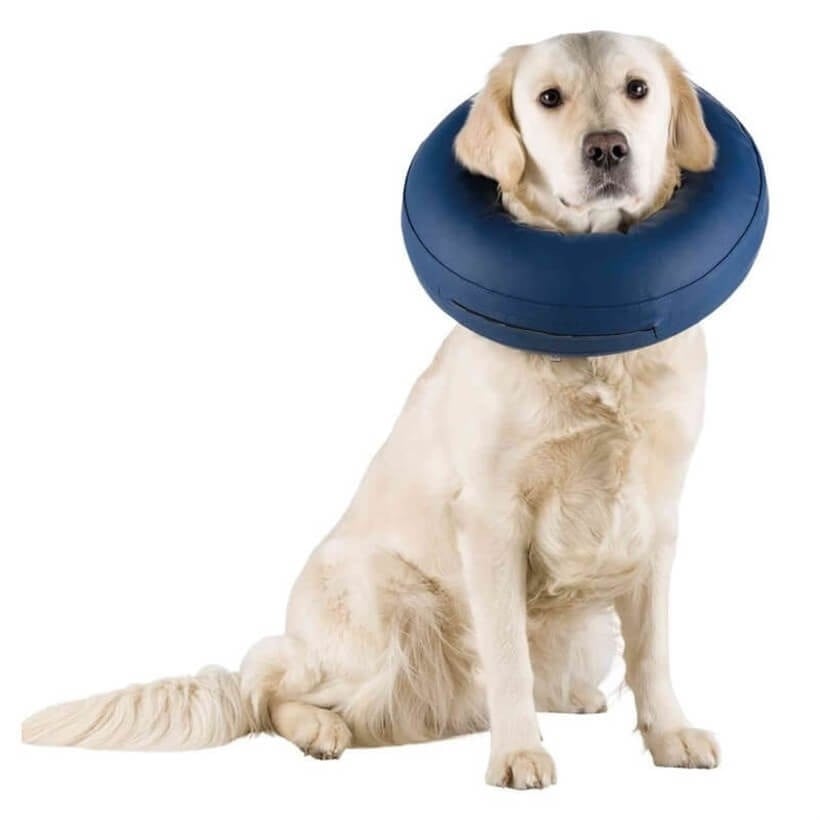 Trixie Köpek Koruyucu Şişme Yakalık Xs Mavi