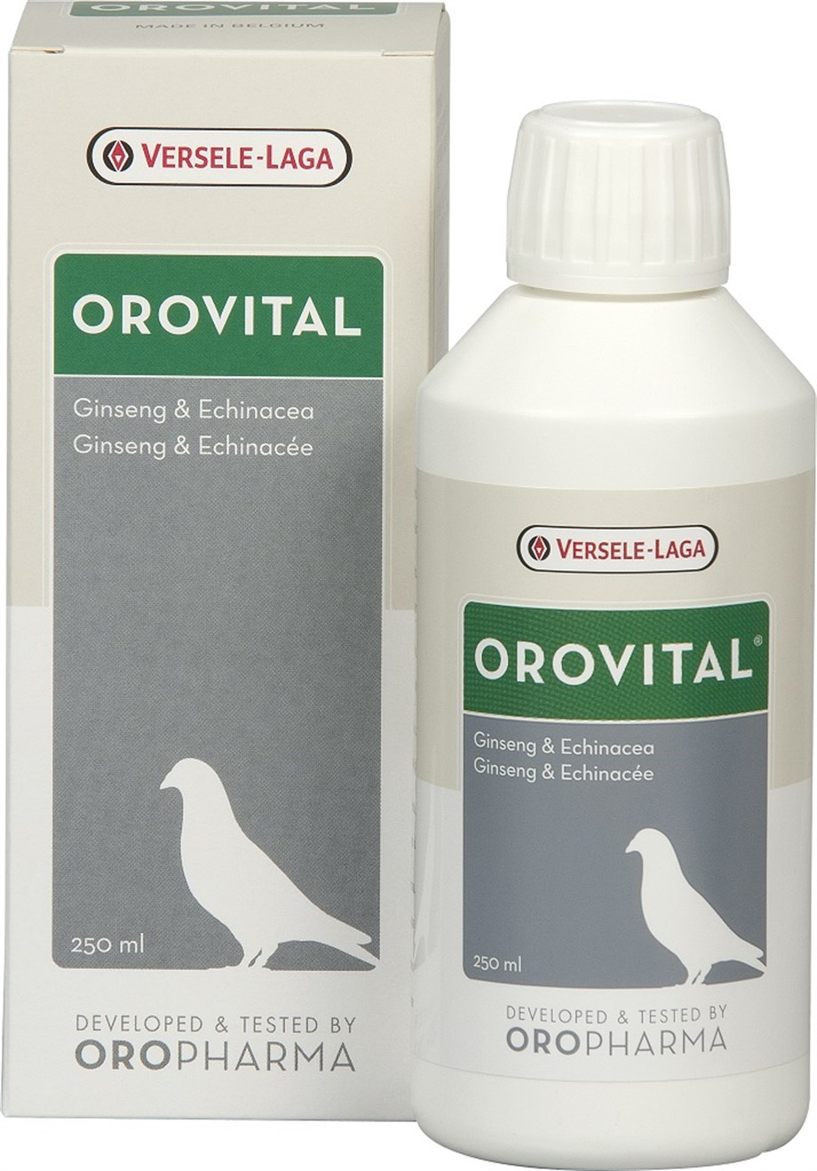 Versele laga Or.Orovital Güv.(Ginseng Ekinezyalı Karışım)