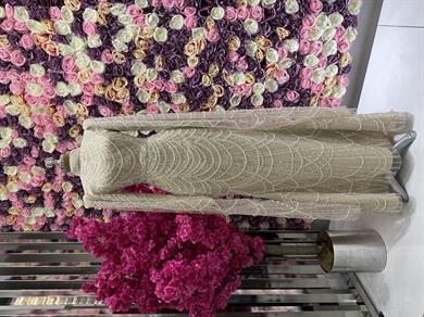 Haute Couture Dress Bej