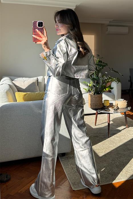 Stephin Silver Ceket