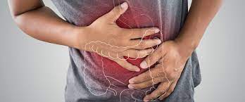 Bağırsak Sağlığı ve Bağışıklık İçin Güçlü Bir Takviye: N-Bütirik Asit, L-Glutamin, Kuersetin, Çinko ve Vitamin D İçeren Besin Öğesi