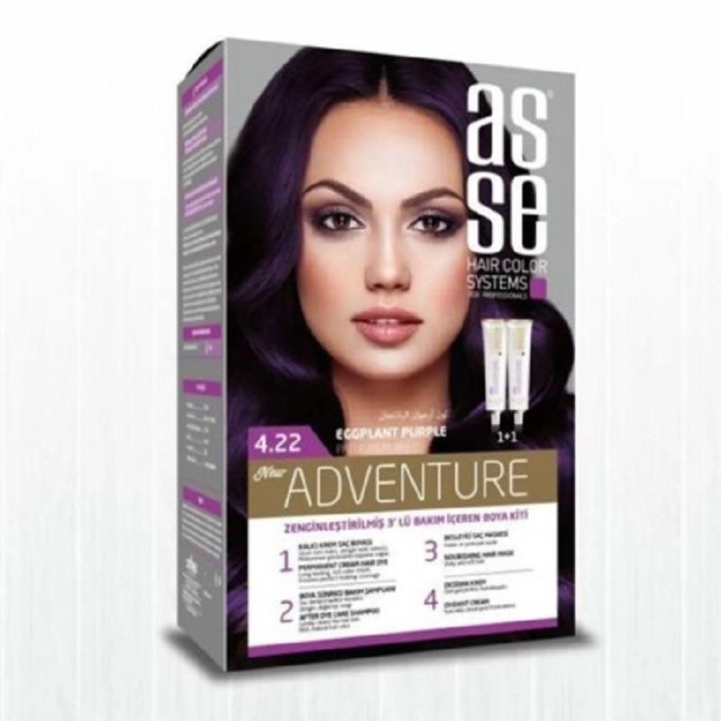 Asse Hair Color System Asse Hair Color System Saç Boyası Patlıcan Moru No: 4.22
