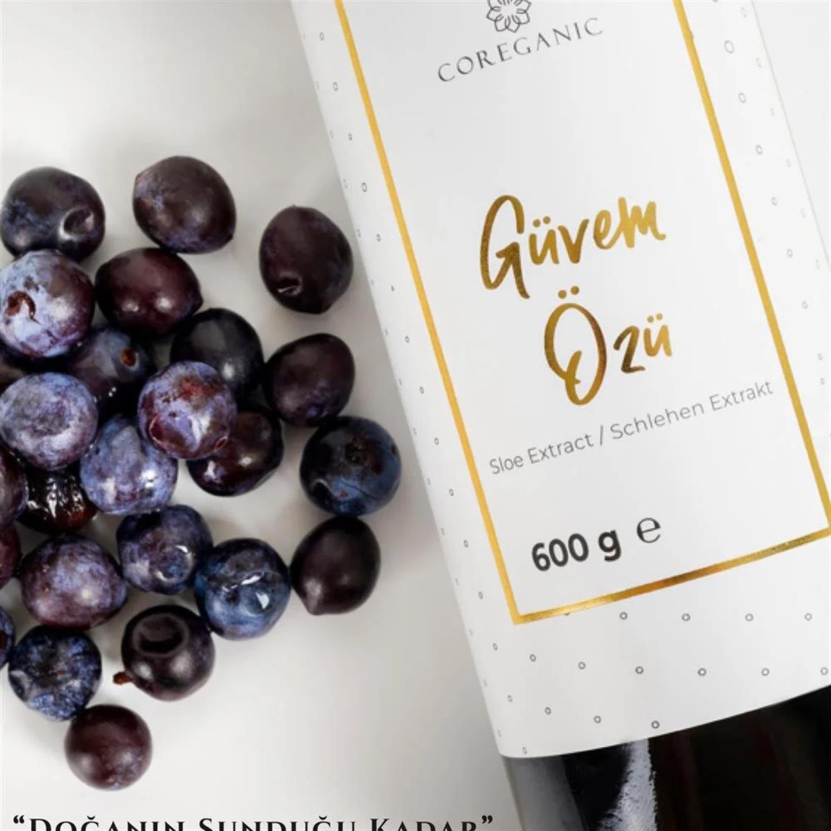 Fit & Alive Fit & Alive Coreganic Güvem Eriği Özü 600 gr