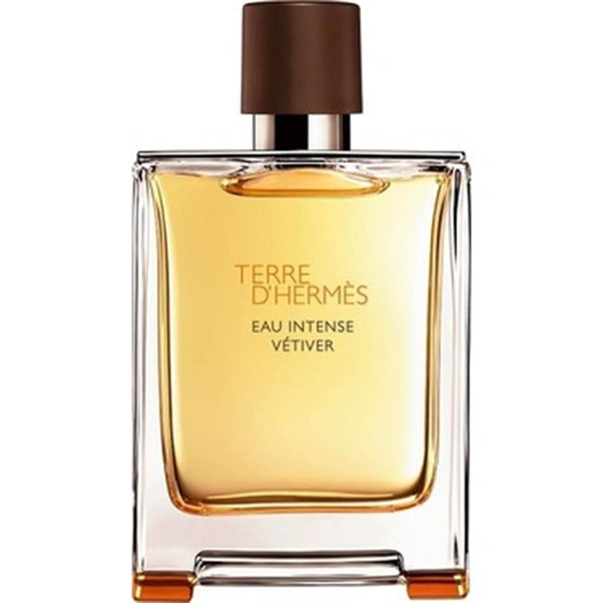 Hermes Terre Hermes Terre D'hermes EDP Erkek Parfüm 90 ml 