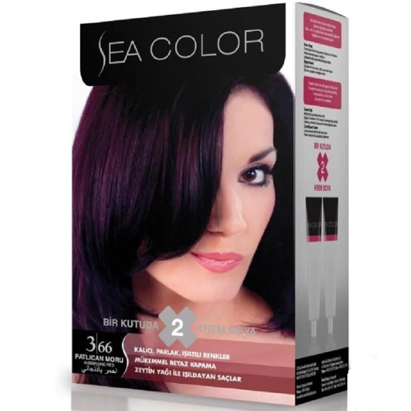 Sea Color Sea Color Set Boya 3.66 Patlıcan Moru