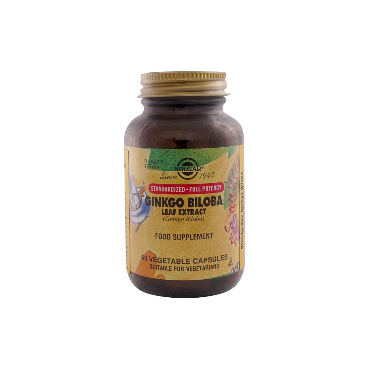 SolgarSolgar Ginkgo Biloba Leaf Extract 60 Kapsül