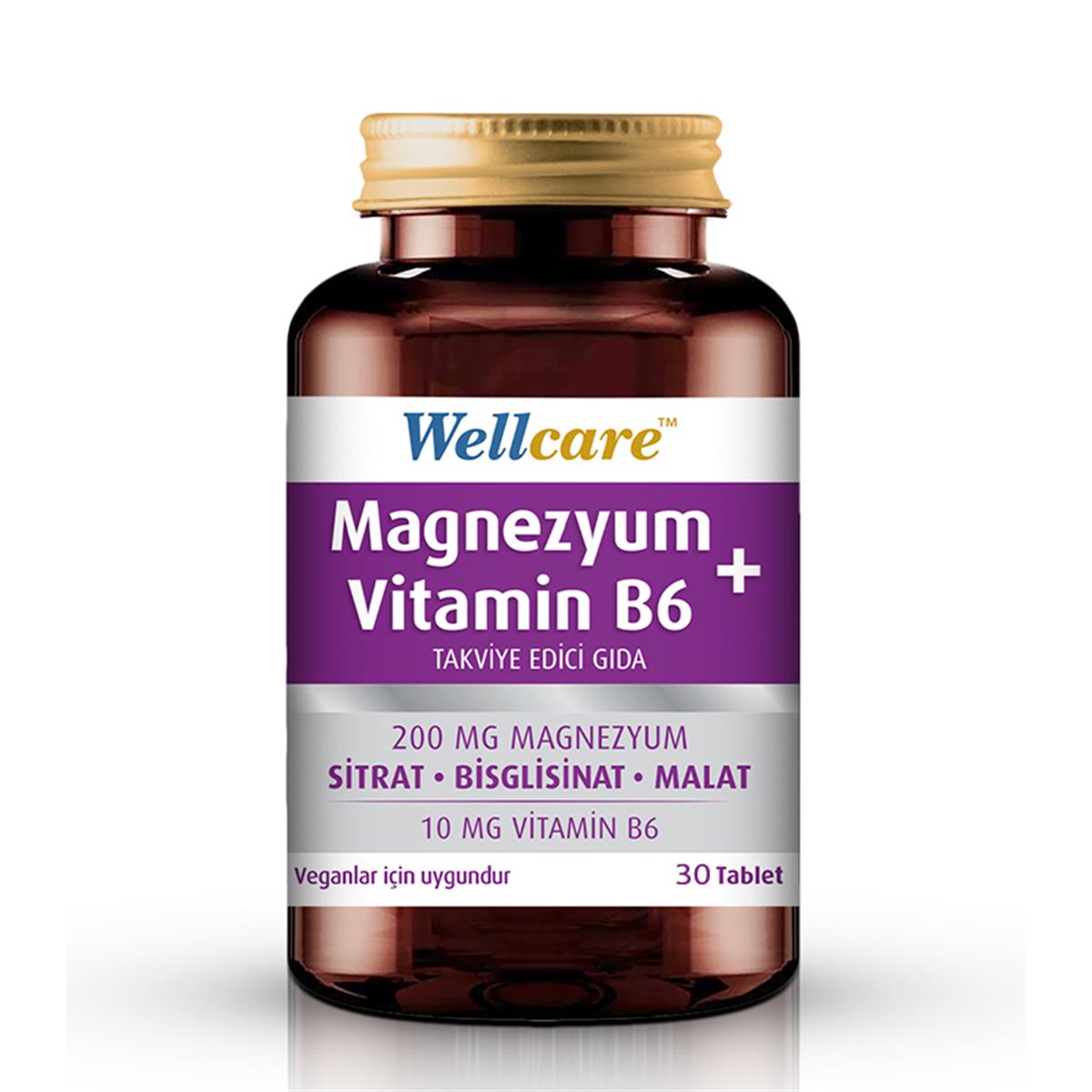 WELLCARE Wellcare Magnezyum + Vitamin B6 30 Tablet