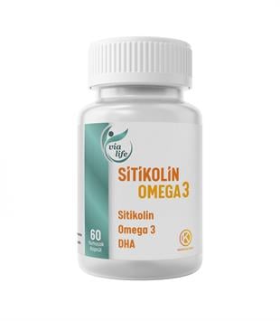 Vialife Sitikolin Omega-3 DHA Folik Asit 60 kapsül
