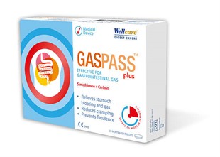 Wellcare Gaspass Plus 20 Tablet
