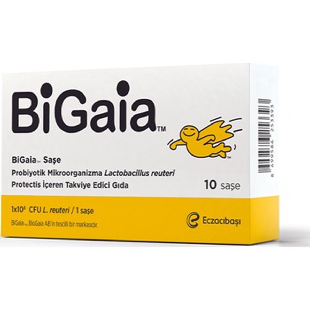 BigaiaBigaia 10 Sase