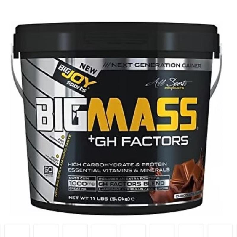 BigJoy Sports BigJoy Sports Bigmass +GH Factors Çikolata 5 kg