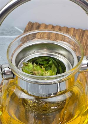 Cam Bitki Demliği - Borosilikat Cam Çaydanlık - 600 ML