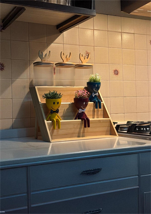 Bambu Stantlı Dekoratif Borosilikat Cam Kavanoz Seti - Saksı Hediyeli Kavanoz Takımı - 7 Parça