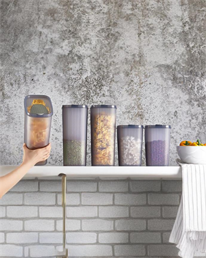 4lü Erzak Kabı, Saklama Kabı Seti - Plastik Erzak Kabı Takımı - 2.5 Litre, 4 Litre