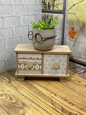 Hometarz Profesör Saksılar Yapay Çimli Sukulent Gözlüklü Saksı Bitki