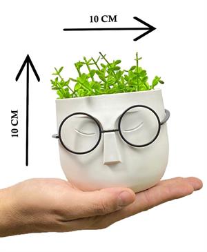 Hometarz Profesör Saksılar Yapay Çimli Sukulent Gözlüklü Saksı Bitki