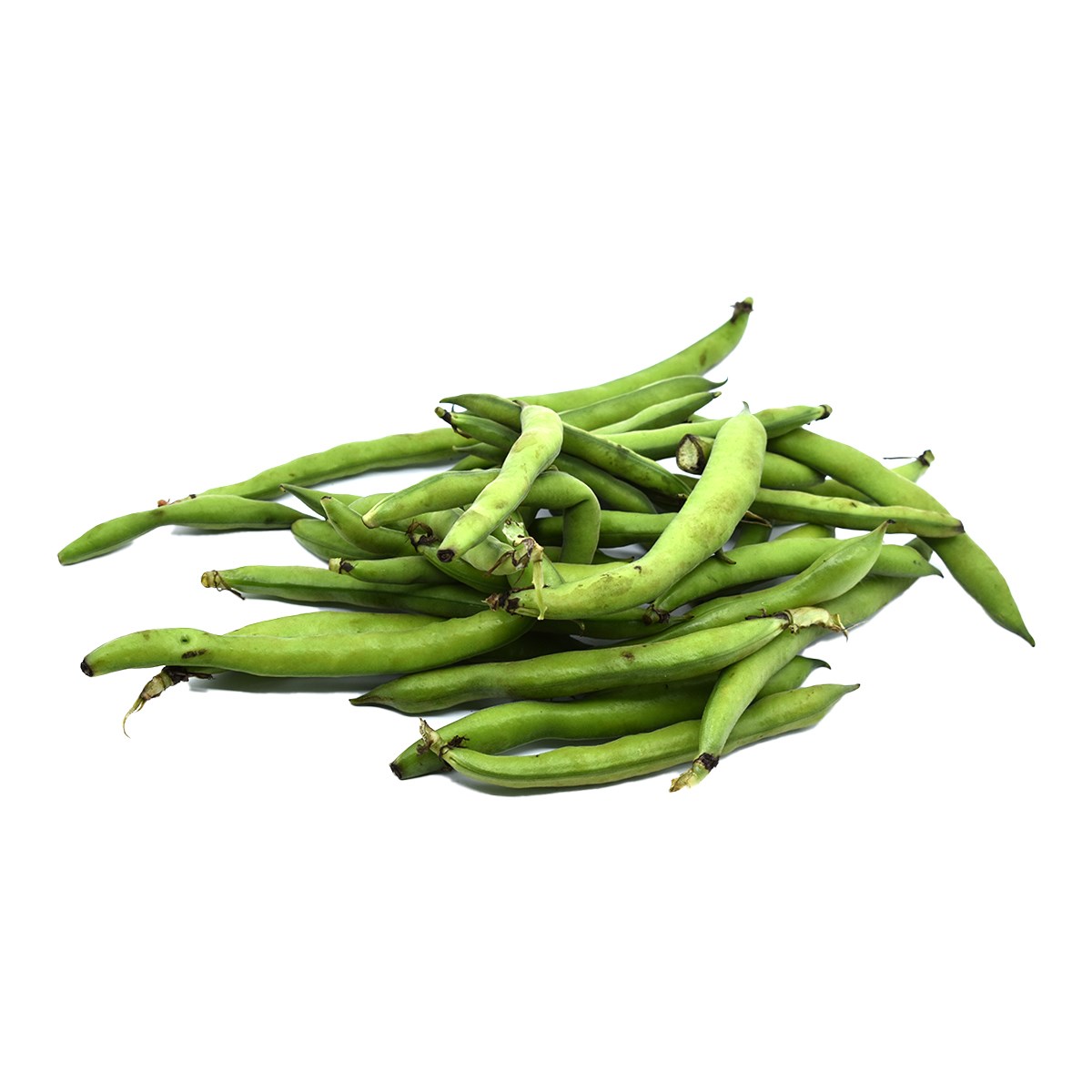 SAKIZ BAKLA (1 Kg)