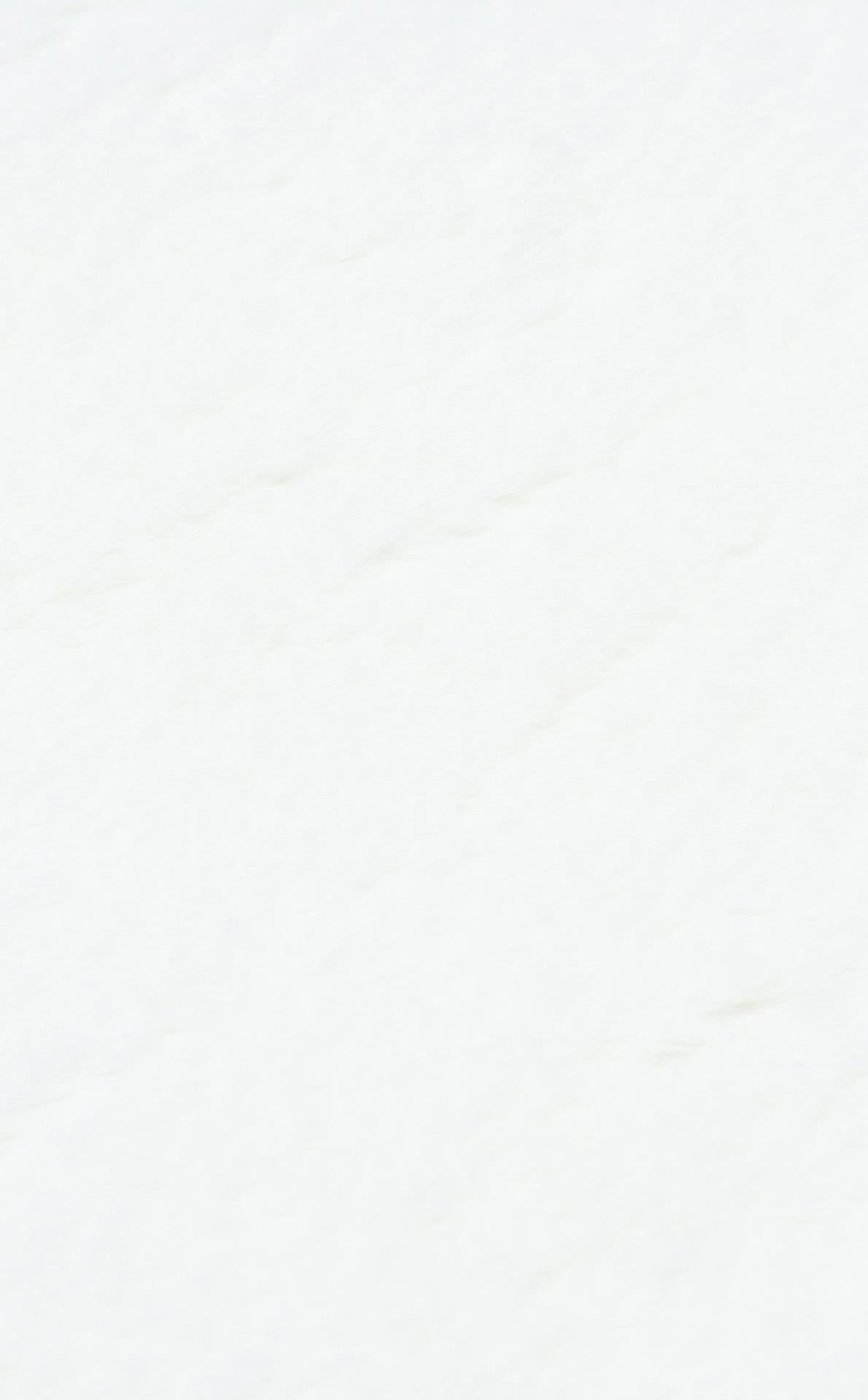 MOLLIS NEW MLS WHITE SINGLE N  Yumuşak Dokulu Uzun Tüylü Yıkanabilir Tavşan Postu
