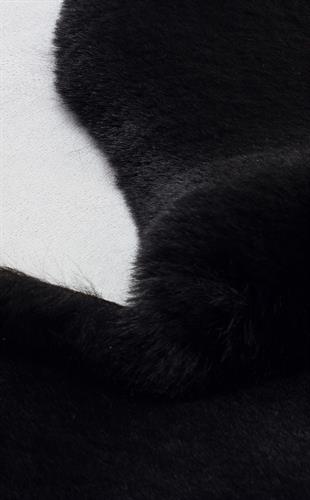 MOLLIS NEW MLS BLACK SINGLE N  Yumuşak Dokulu Uzun Tüylü Yıkanabilir Tavşan Postu