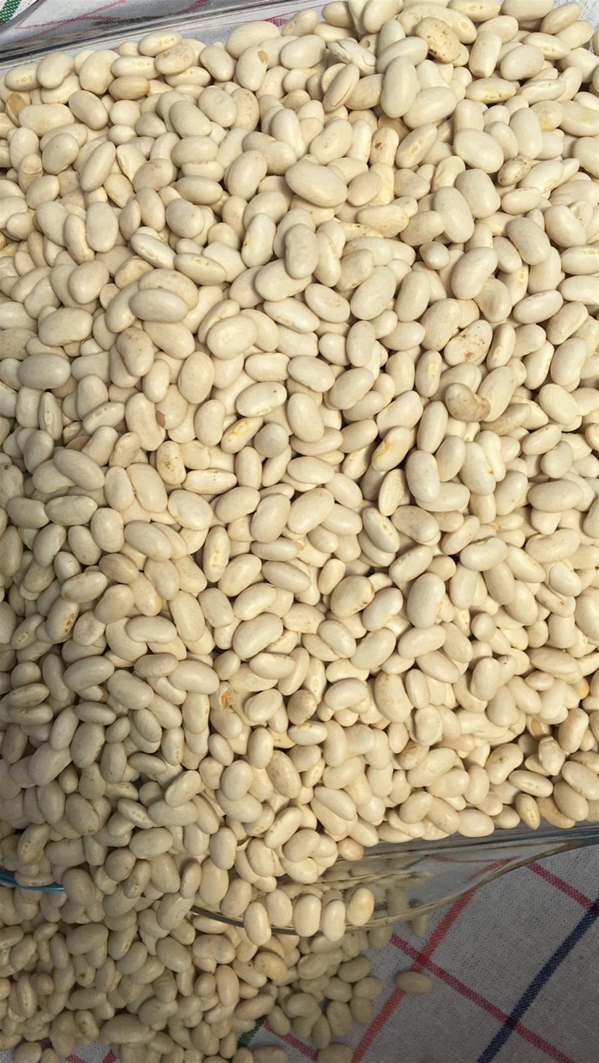 KURU FASÜLYE   (1 KG)