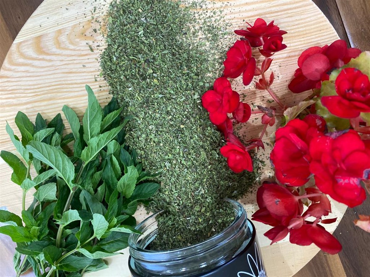 BAHÇE NANESİ KURUSU (500 GR)