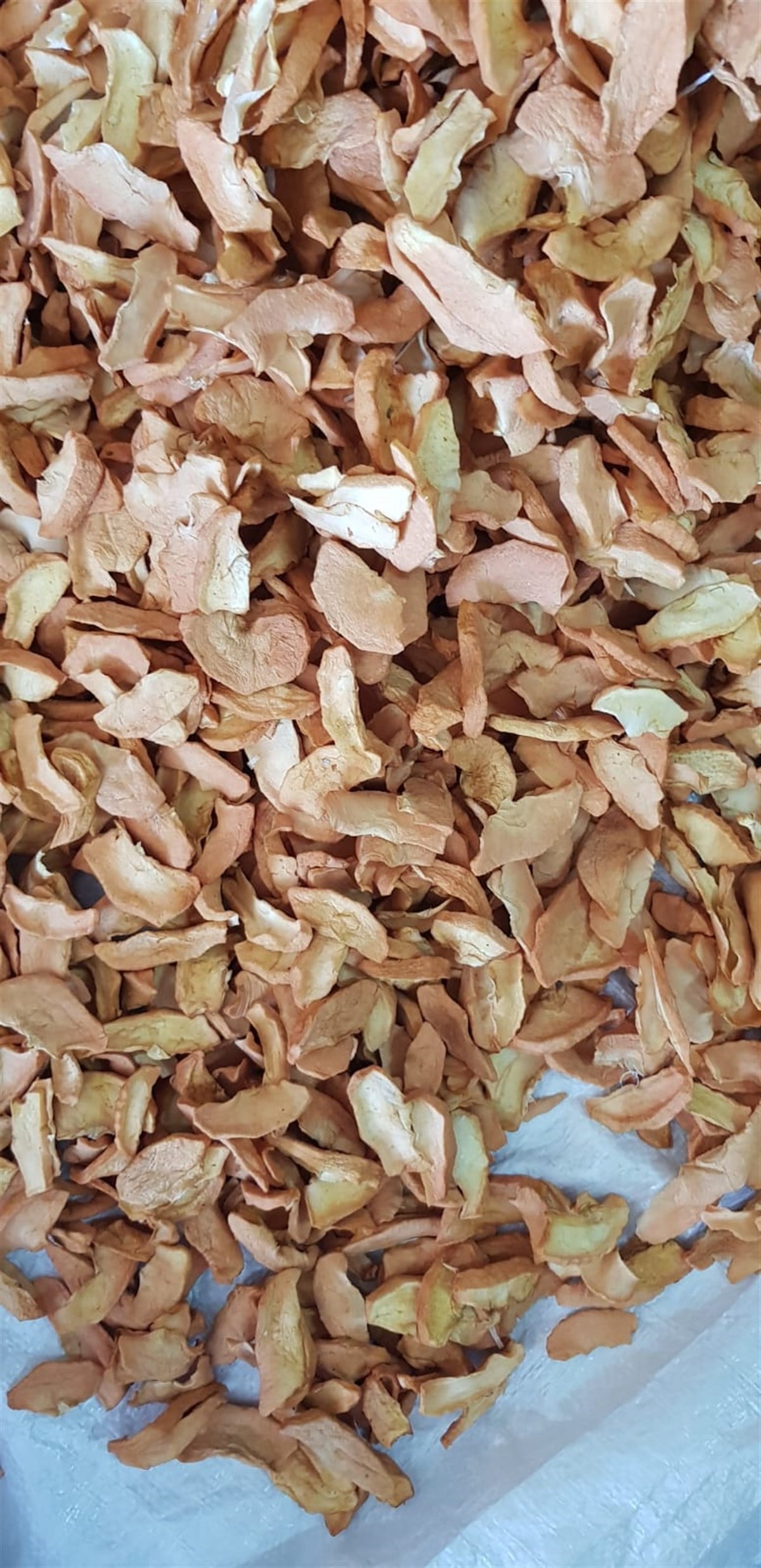 KIRMIZI TATLI ELMA KURUSU (500 GR )