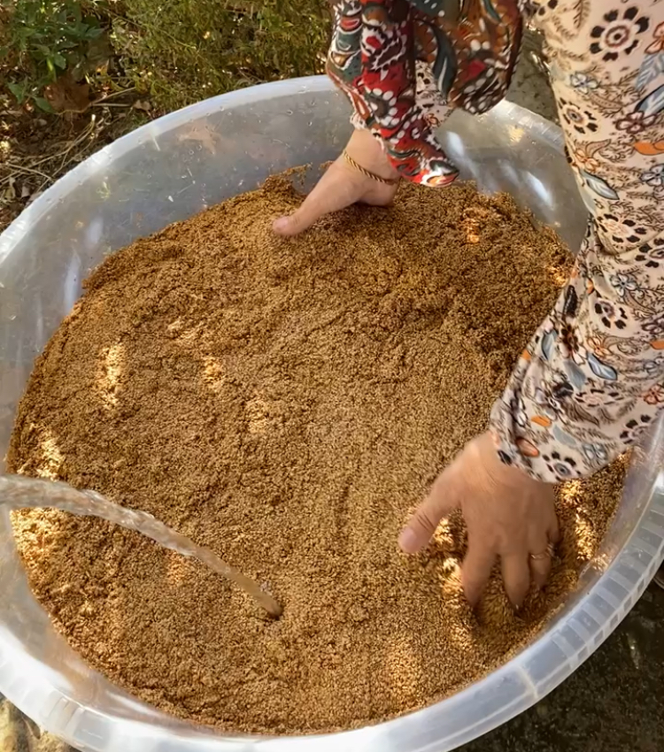 SUSAM (TANE)-500 GR