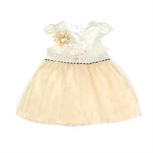Baby Rose Çiçek İşlemeli İnci Aksesuarlı Kız Elbise